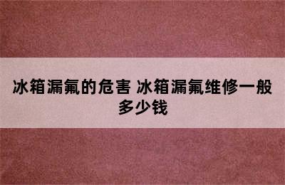 冰箱漏氟的危害 冰箱漏氟维修一般多少钱